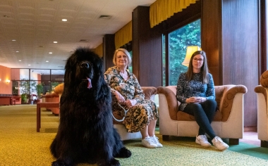 Törzsvendég Program