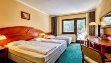 Senior csomag örökifjaknak Hotel Lővér Sopron