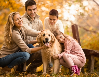 Lővér experience Lővér experience